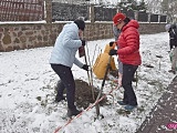 Lilakowa Aleja Przedsiębiorców w Dzierżoniowie