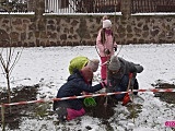 Lilakowa Aleja Przedsiębiorców w Dzierżoniowie