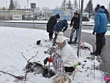 Lilakowa Aleja Przedsiębiorców w Dzierżoniowie