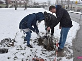 Lilakowa Aleja Przedsiębiorców w Dzierżoniowie