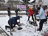 Lilakowa Aleja Przedsiębiorców w Dzierżoniowie