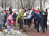 Lilakowa Aleja Przedsiębiorców w Dzierżoniowie