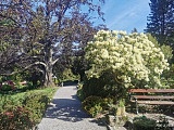 Arboretum w Wojsławicach w obiektywie Jana Wilka