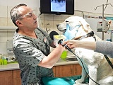 Weterynarze UPWr będą leczyć psy ratownicze