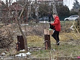 Sprzątali ogródki działkowe w Pieszycach