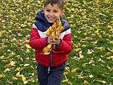 Przedszkole Montessori Bliska Przystań w Dzierżoniowie