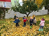 Przedszkole Montessori Bliska Przystań w Dzierżoniowie
