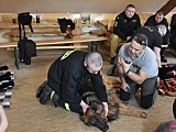Strażacy szkolili się z udzielania pierwszej pomocy psom