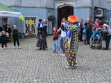 Żonkilowe Pola Nadziei w dzierżoniowskim ZOL-u Sióstr Elżbietanek
