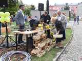Żonkilowe Pola Nadziei w dzierżoniowskim ZOL-u Sióstr Elżbietanek