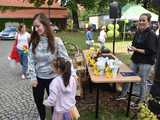 Żonkilowe Pola Nadziei w dzierżoniowskim ZOL-u Sióstr Elżbietanek