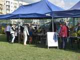 Wielka parada organizacji pozarządowych w Dzierżoniowie