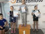 MKS 9: pływacy na zawodach w Dzierżoniowie