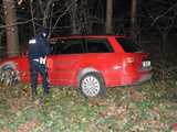 Audi uderzyło w drzewo na drodze Piława Górna - Przerzeczyn Zdrój