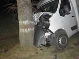 Samochodem dostawczym uderzył w drzewo