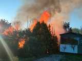 Pożar na terenie ogrodów działkowych w Dzierżoniowie