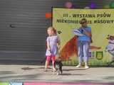 III Wystawa Psów Niekoniecznie Rasowych