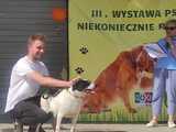 III Wystawa Psów Niekoniecznie Rasowych