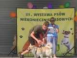 III Wystawa Psów Niekoniecznie Rasowych