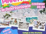 OSiR Dzierżoniów - wiele atrakcji. Rozpoczęcie wakacji 2024!