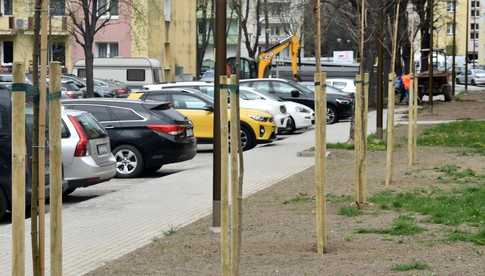 Nowe nasadzenia na os. Kolorowym w Dzierżoniowie