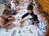 Edukacyjne podróże piławskich przedszkolaków