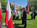 Oleszna