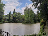 Majowe Arboretum w Wojsławicach