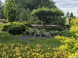 Majowe Arboretum w Wojsławicach