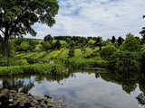 Majowe Arboretum w Wojsławicach