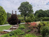 Majowe Arboretum w Wojsławicach