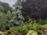 Majowe Arboretum w Wojsławicach