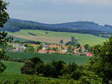 Majowe Arboretum w Wojsławicach