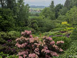 Majowe Arboretum w Wojsławicach