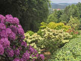 Majowe Arboretum w Wojsławicach