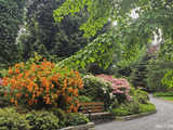 Majowe Arboretum w Wojsławicach
