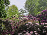 Majowe Arboretum w Wojsławicach