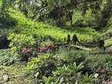 Majowe Arboretum w Wojsławicach