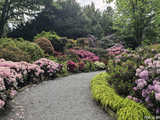 Majowe Arboretum w Wojsławicach
