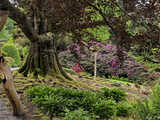 Majowe Arboretum w Wojsławicach