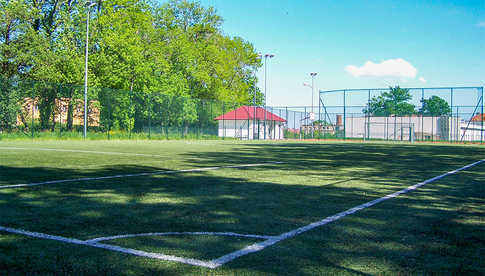 Orlik