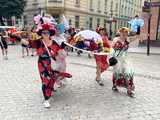 Parada kapeluszy
