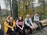 grafika