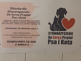 psia kostka