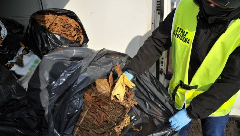 Funkcjonariusze Straży Granicznej z Kłodzka ujawnili ponad 400 kg liści tytoniu o wartości blisko 210 tys. zł. 