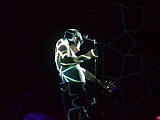 Koncert Ralpha Kaminskiego 