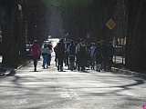 Bieg Solidarni z Ukrainą w Polanicy-Zdroju [Foto]