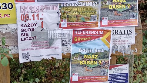 Plakat referendalny, Lądek-Zdrój