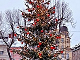 Wigilia na rybku, 17.12.2022 Duszniki-Zdrój