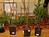 Muzeum Papiernictwa, 12.4.2023